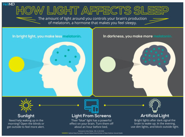 05-2022-Circadian-Article-Image