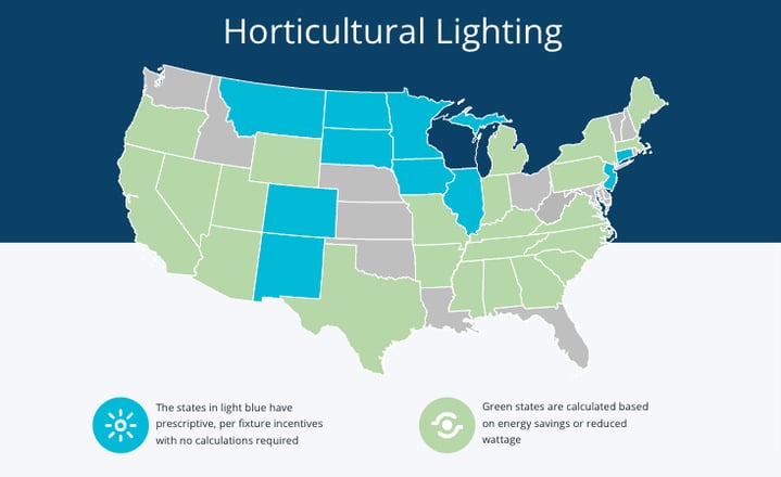 Horticultural-Lighting